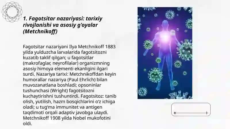 Immunitet (teoriyadagi) g'oyalari 3