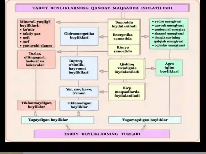 Tabiiy Resurslar 3