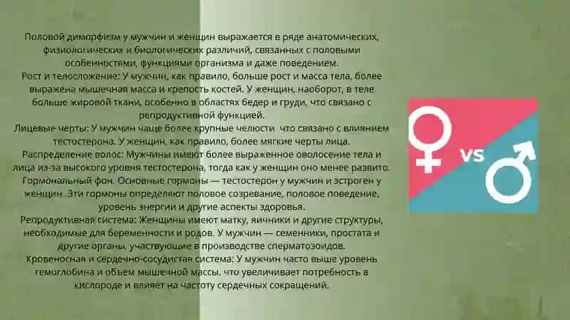Психология половых различий; полоролевое поведение 3