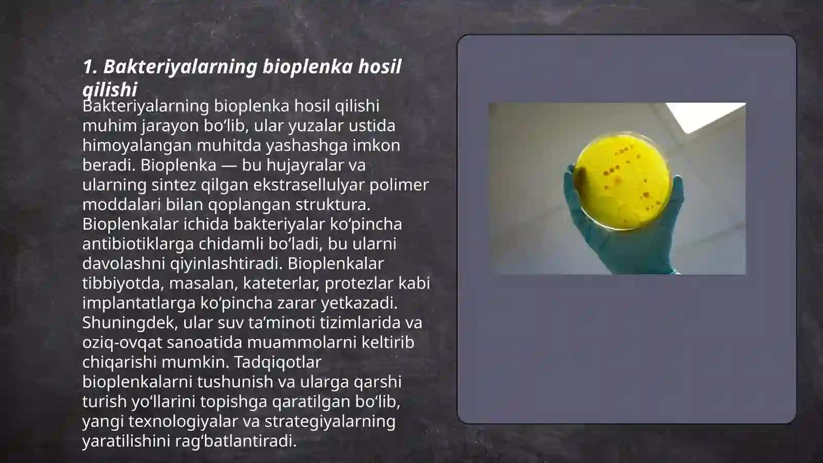 Bakteriyalarning bioplenkasi 3