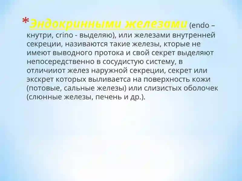 Эндокринные железы 3