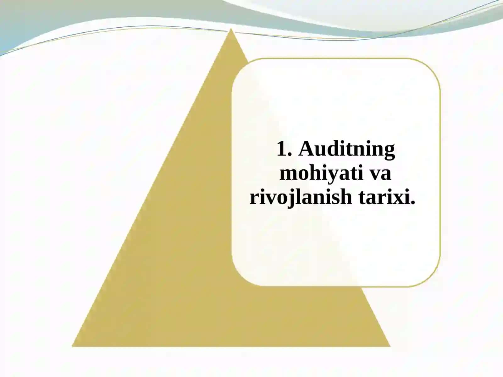 Auditga Umumiy Tavsif 3