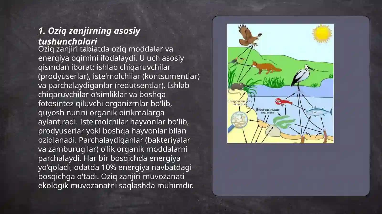Oziq zanjir va ekologik piramida 3