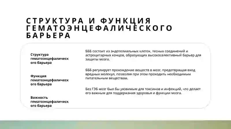 гитофизиология гематоэнцефалического барьера 3