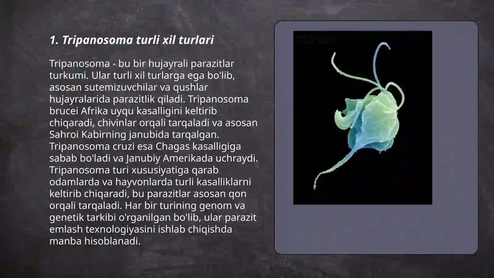 Tripanosoma turli xil turlari 3