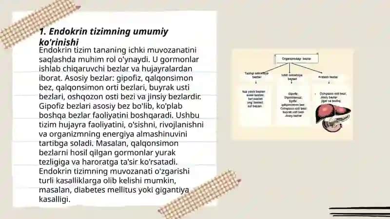 Ichki sekresiya bezlari 3