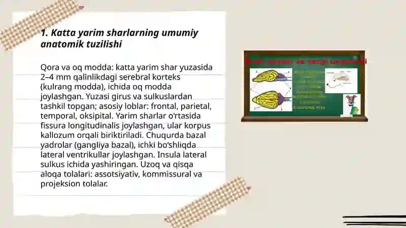 Katta yarim sharlar postlogi va uning tuzilishi 3