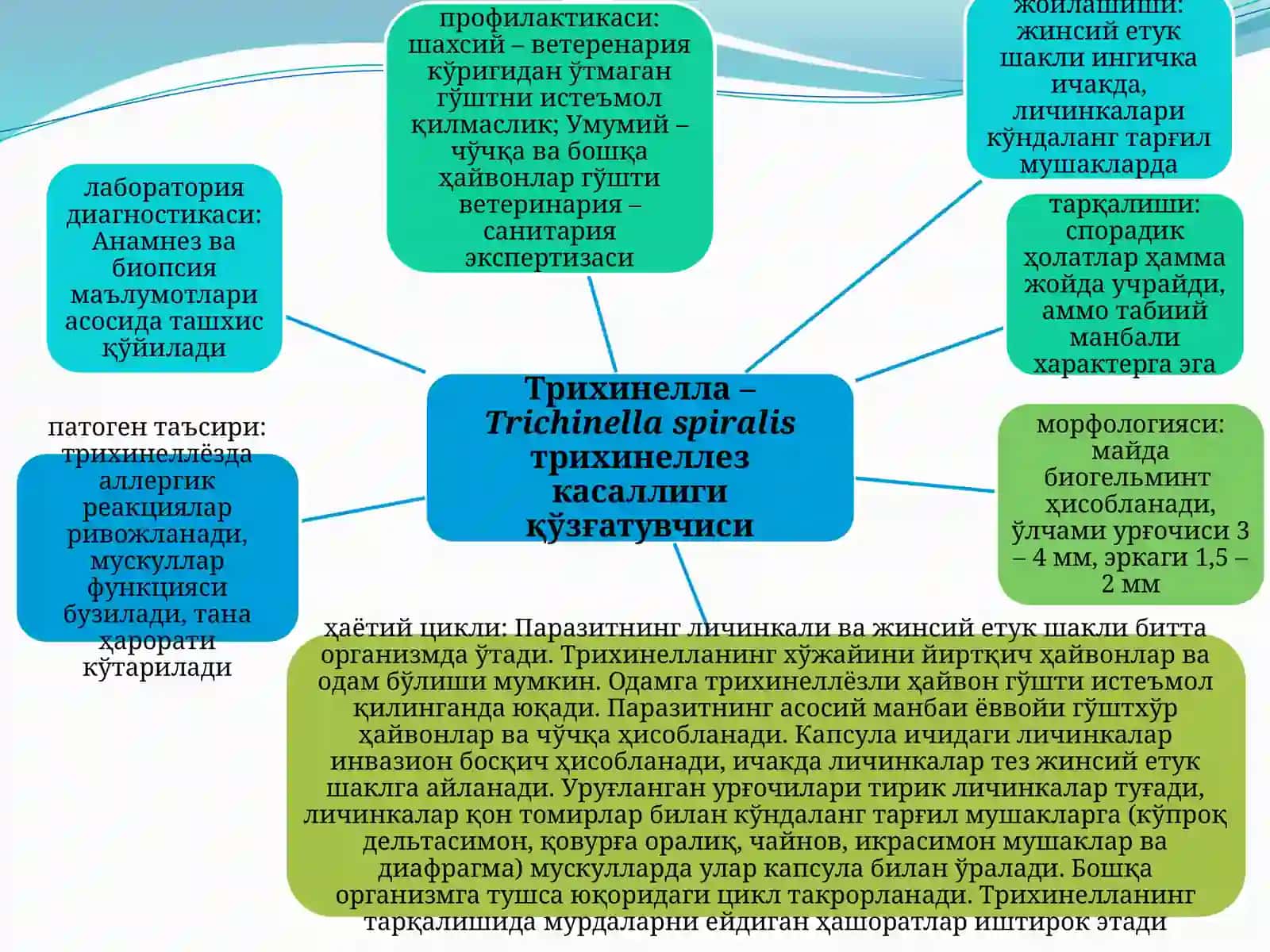 Овогельминтоскопия усуллари 3