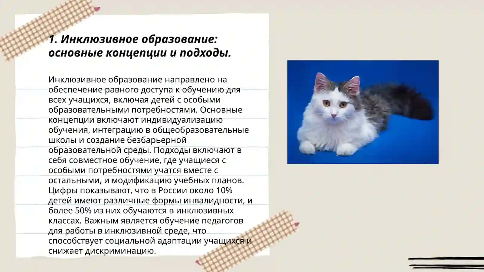 Инклюзивные образовательные стратегии 3