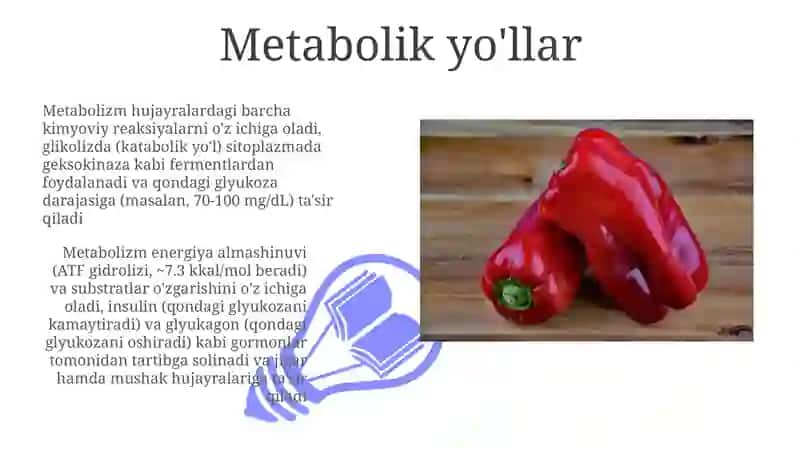 Metabolik yo'llar 3