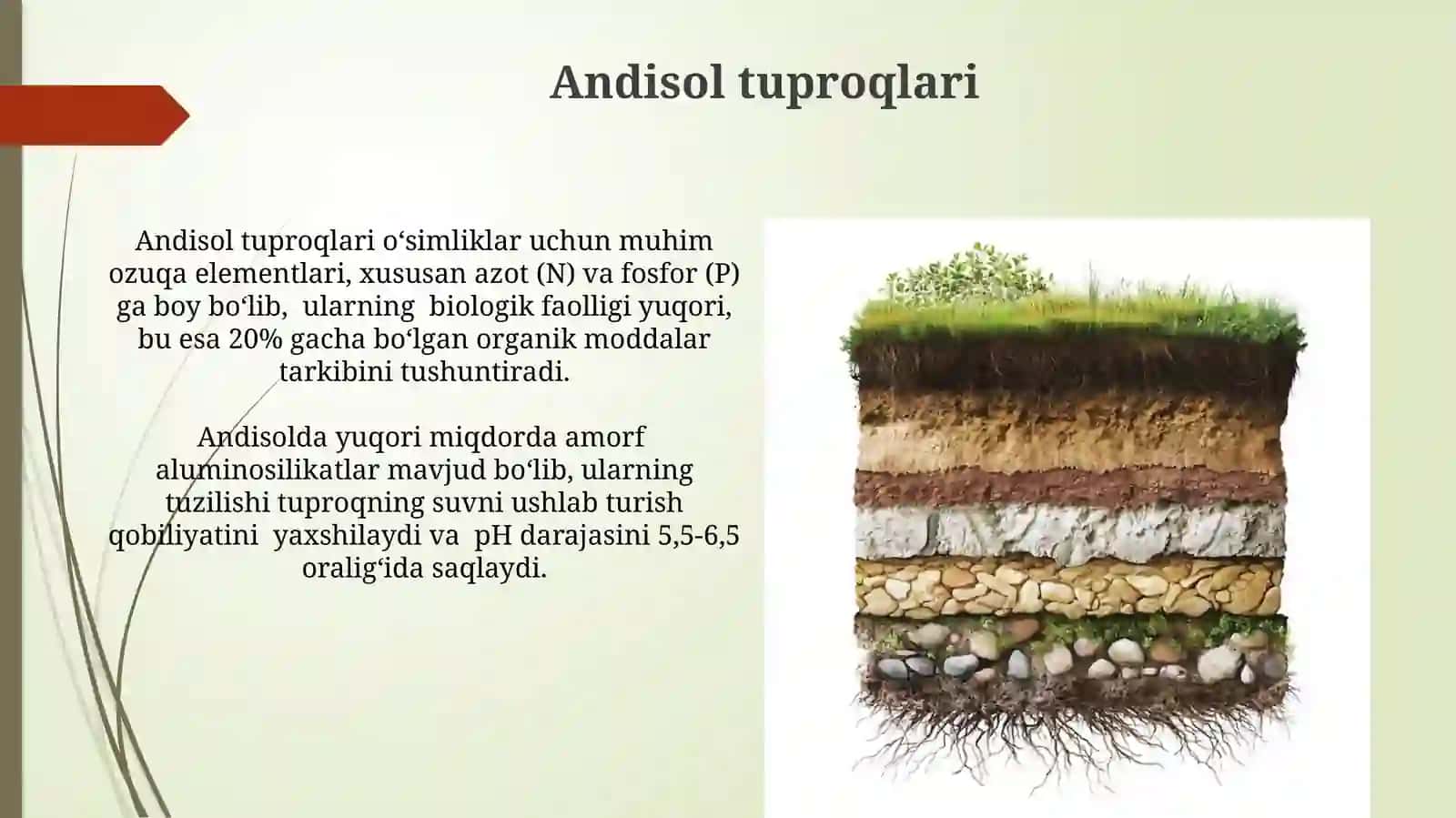 Tuproq turlarining nomlari va guruhlari 3