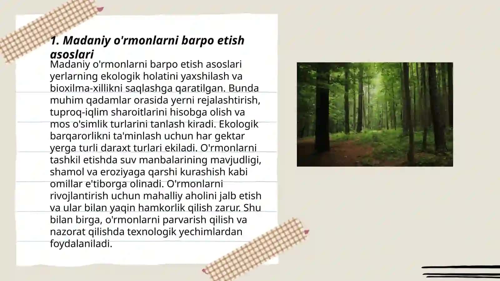 Madaniy o'rmonlarni barpo etish asoslari 3