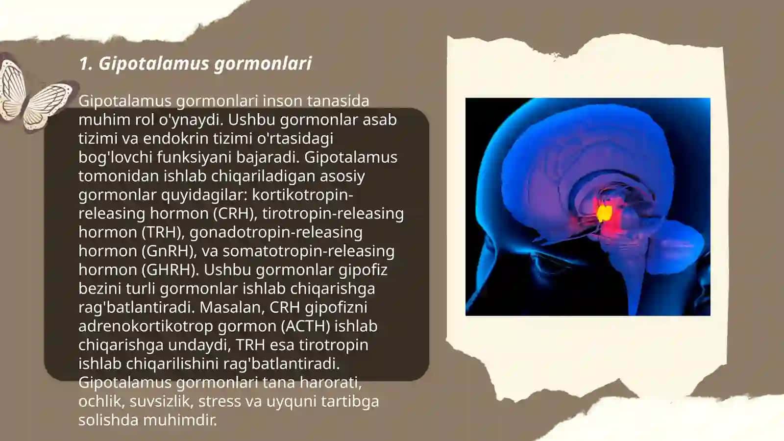 Gipotalamo-gipofizar tizimning gormonlari 3