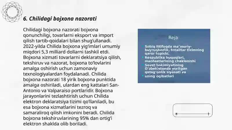 Chilidagi bojxona nazorati 3