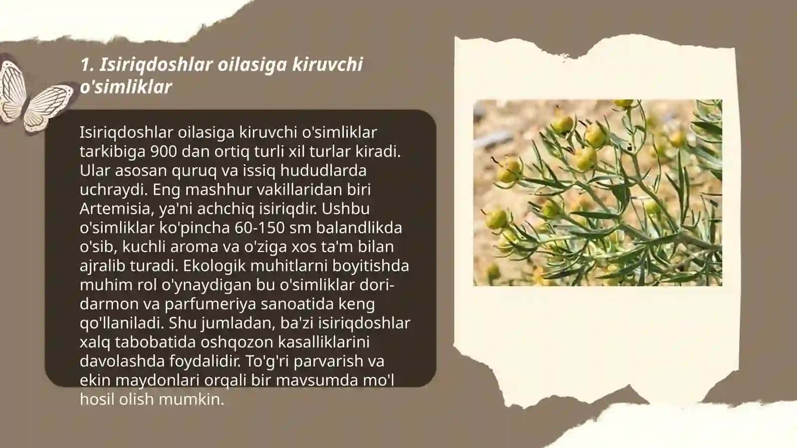 Isiriqdoshlar oilasi 3