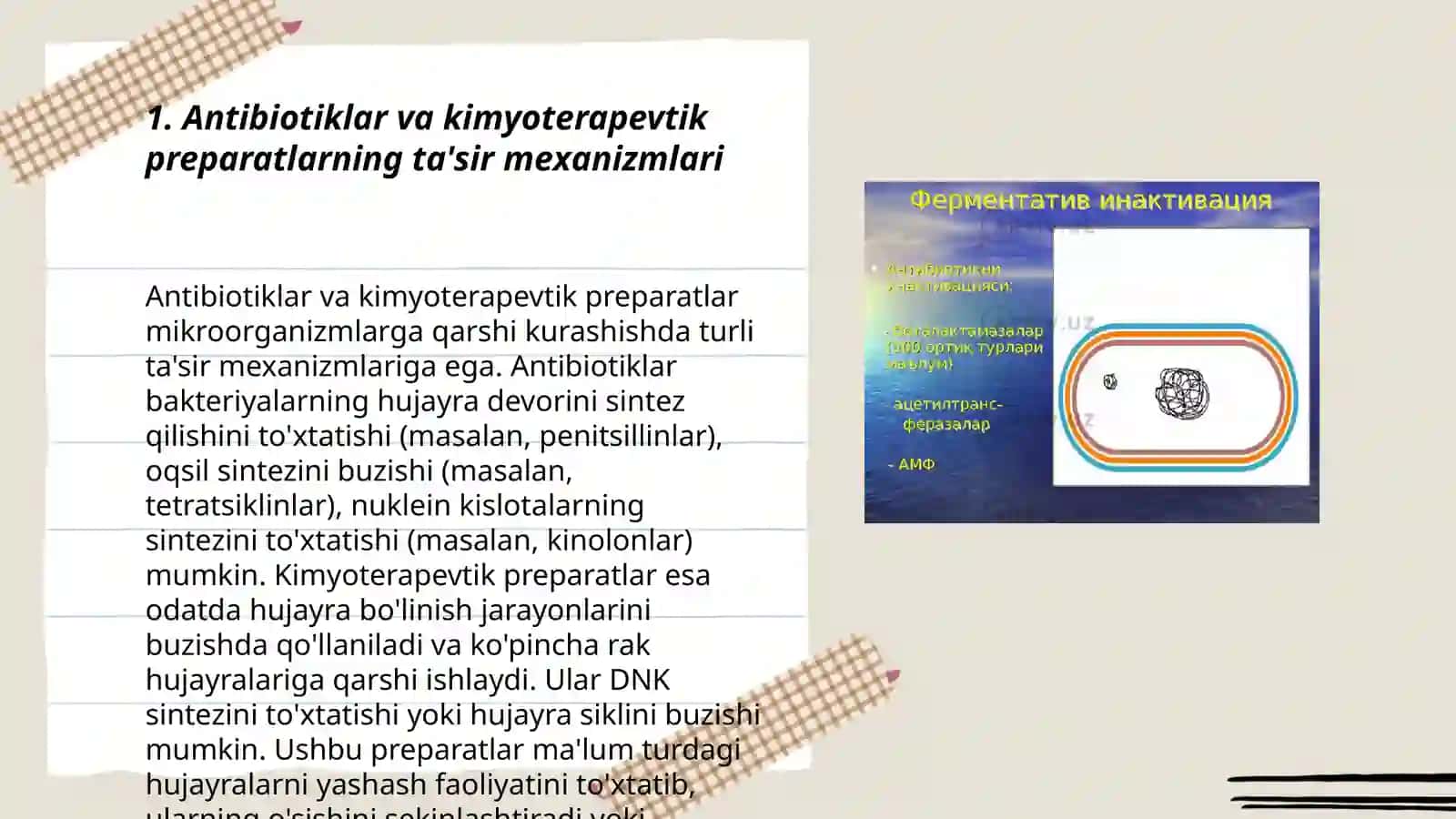 Kimyoterapevtik preparatlar va antibiotiklarga bakterialarning chidamli shtammlarining shakllanish mexanizmlari 3