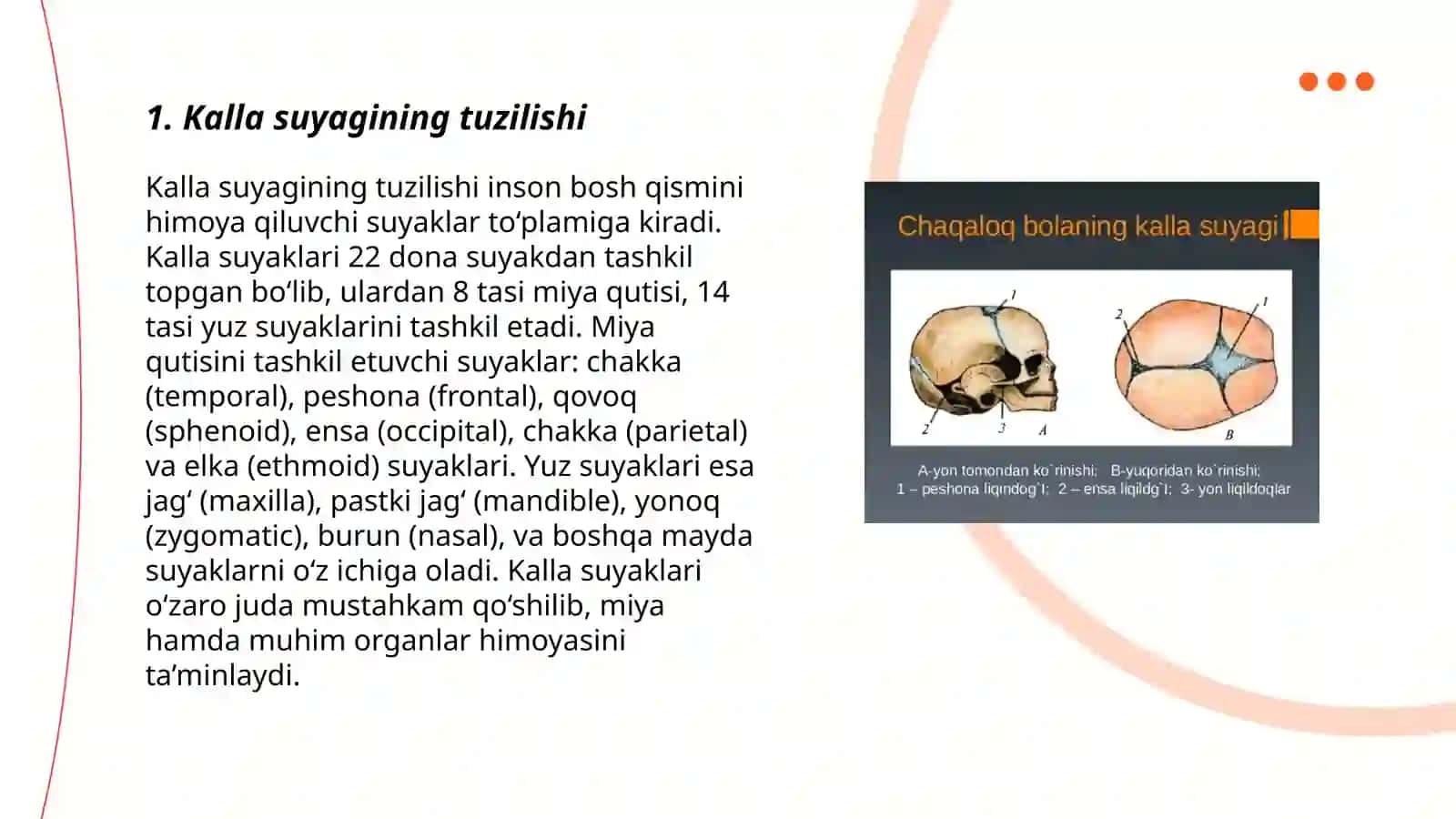 Kalla suyagi yoshga qarab o'zgarishi xususiyatlari 3