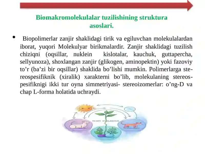 Molekulyarbiofizika 3