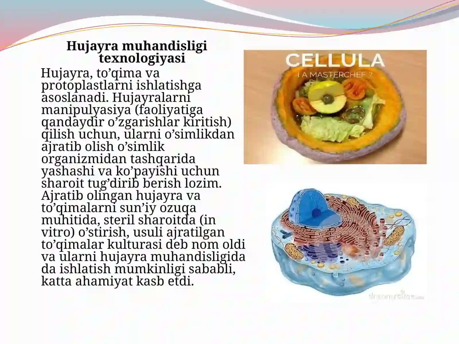 Hujayra muhandisligining texnologik jarayoni 3