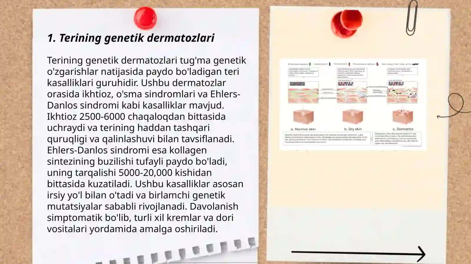 Terining genetik dermatozlari 3