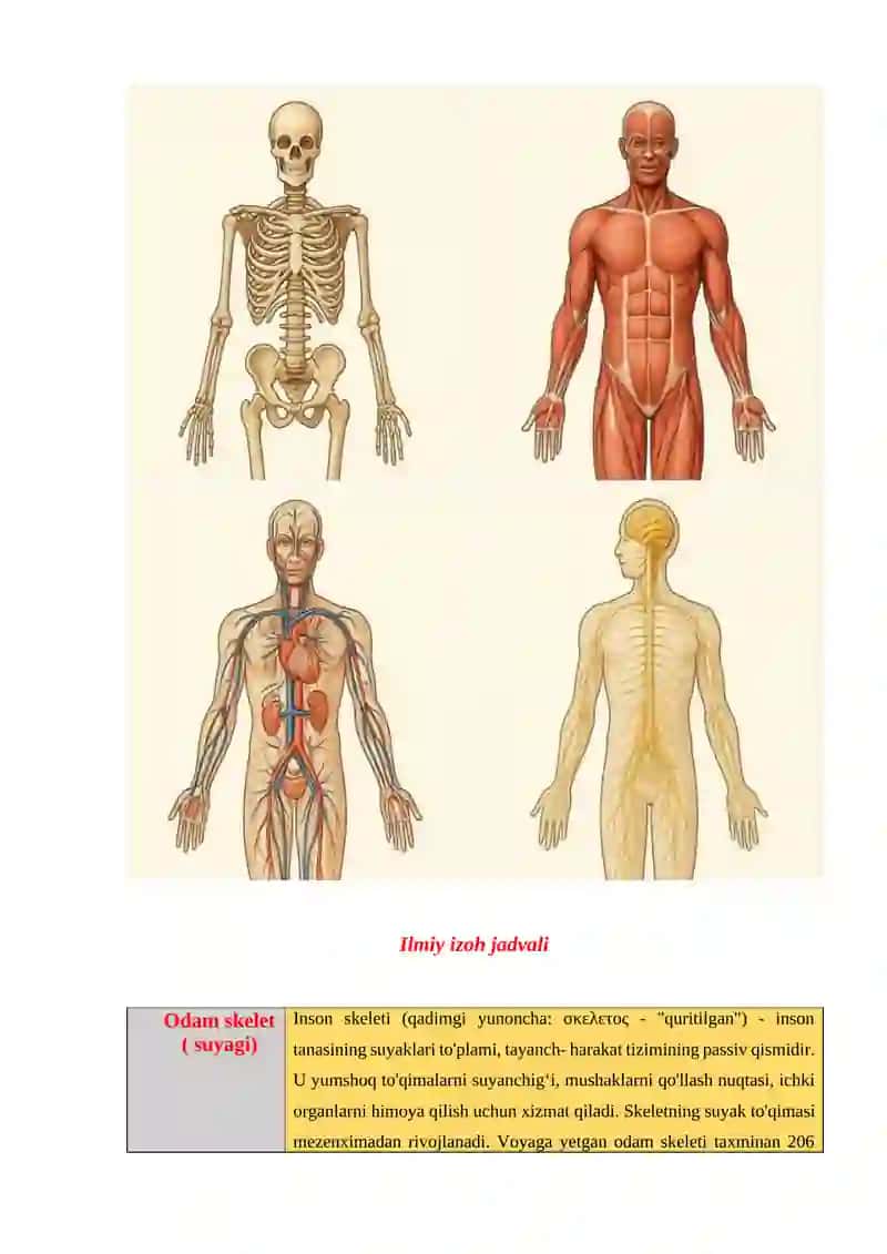 Psixologiya odam skeleti , jadval. 3