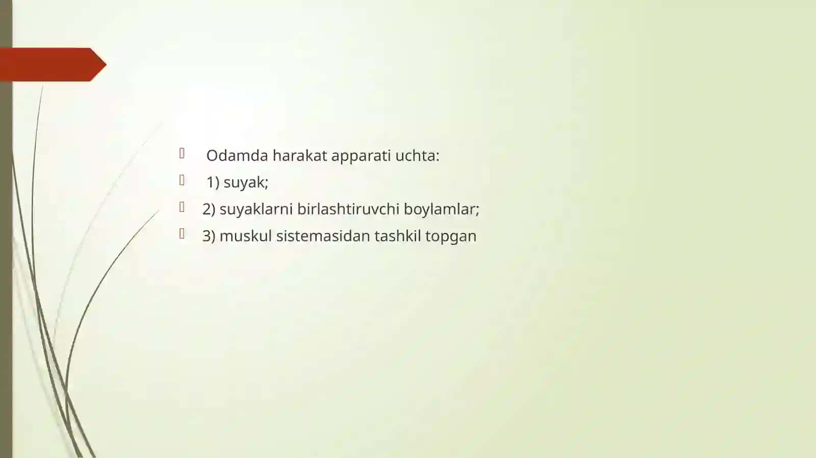 Osteologiya. Suyaklar haqida ta’limot. Suyaklarning tarkibiy tuzilishi, tasnifi 3