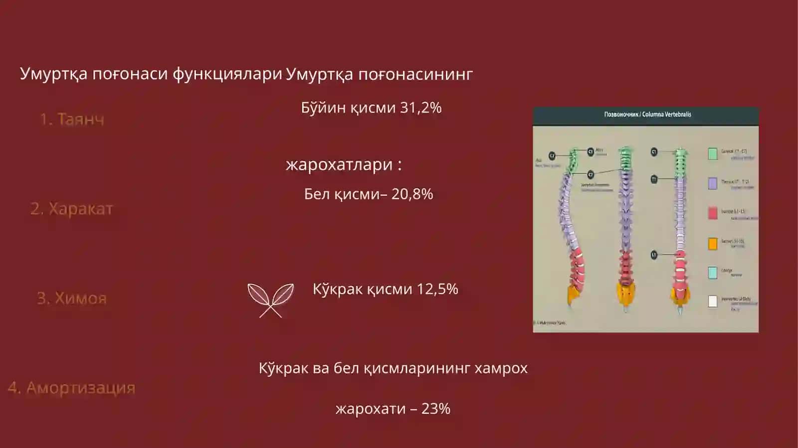 Умуртка поғонасининг асоратсиз шикастланишлари 3