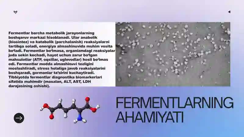 Fermentlarning ahamiyati. 3
