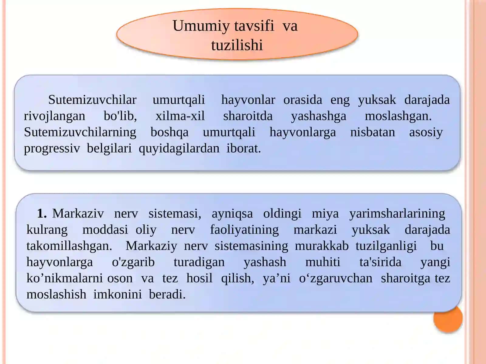 Sutemizuvchilar sinfi 90 sahifalik taqdimot 3