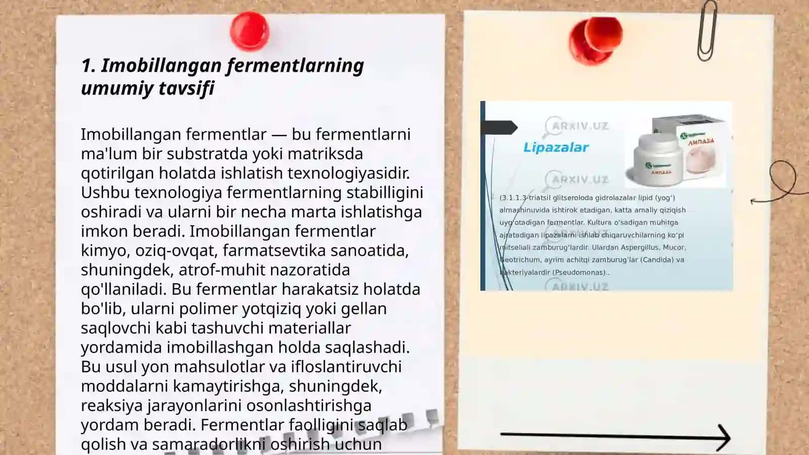 Imobillangan fermentlar 3