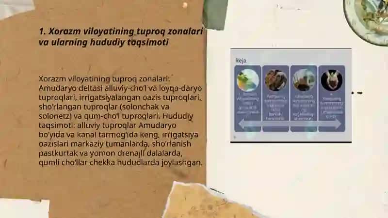 Oʻlka tuproqlari toʻgʻrisida maʼlumot 3