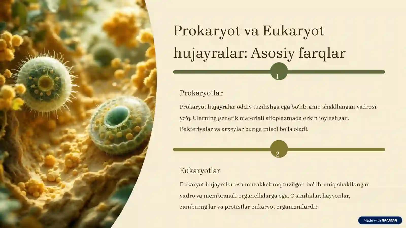 Hujayraning tuzilishi 3