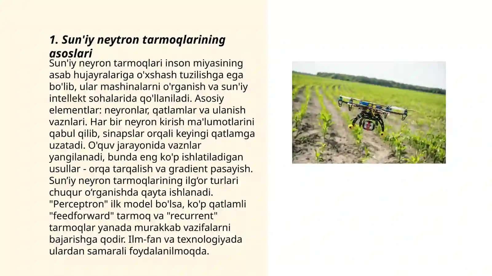 Qishloq xo'jaligida sun'iy neytron tarmoqlari 3