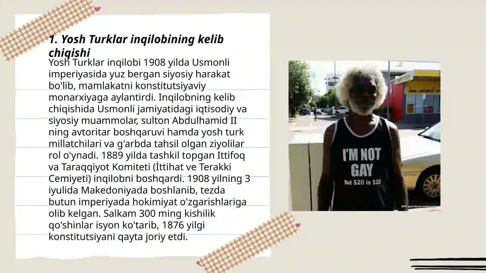 Yosh turklar inqilobi va uning tarixiy ahamiyati 3