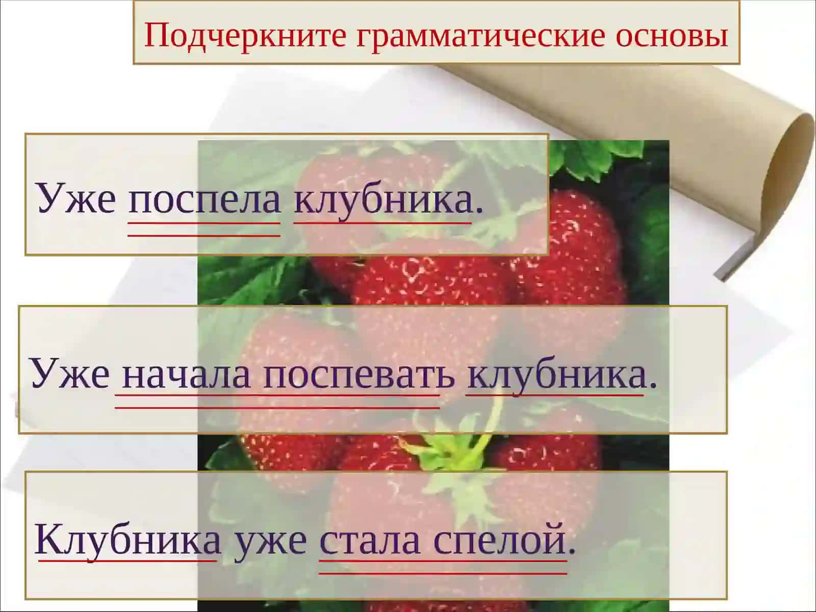 Сказуемое. Простое глагольное сказуемое 3