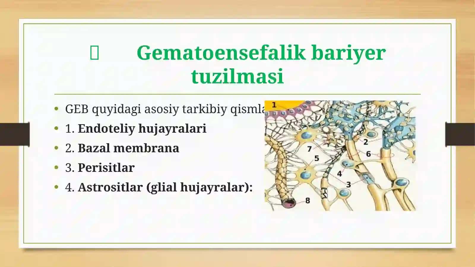 Gematoensefalik baryer 3