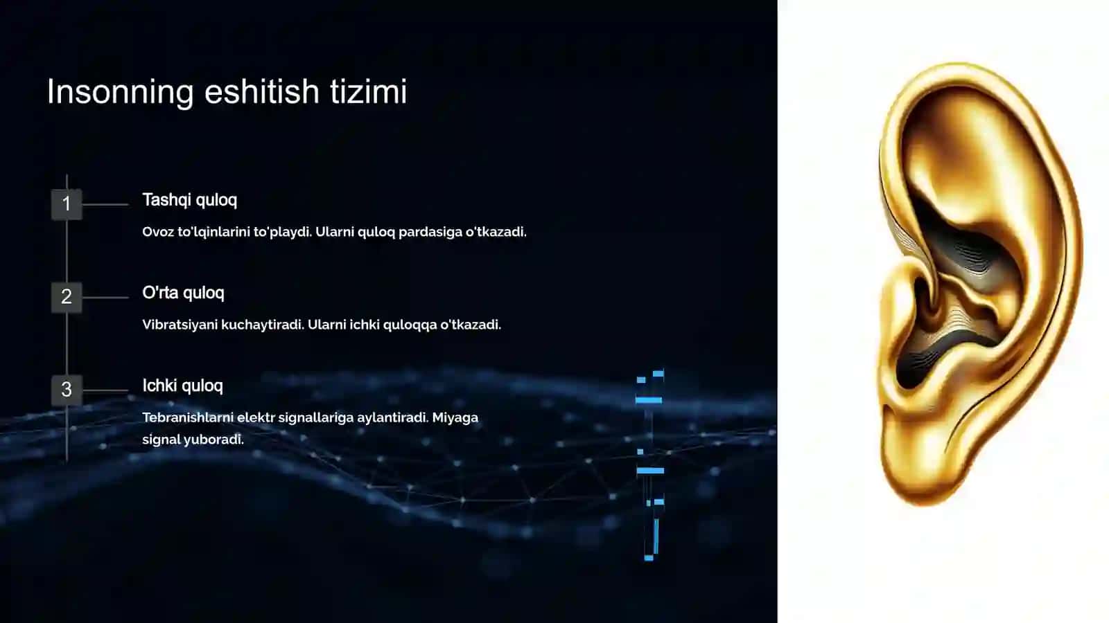 NUTQ ASOSIDA INSONNING SHAXSIY XUSUSIYATLARNI ANIQLASH ALGORITMLARI 3