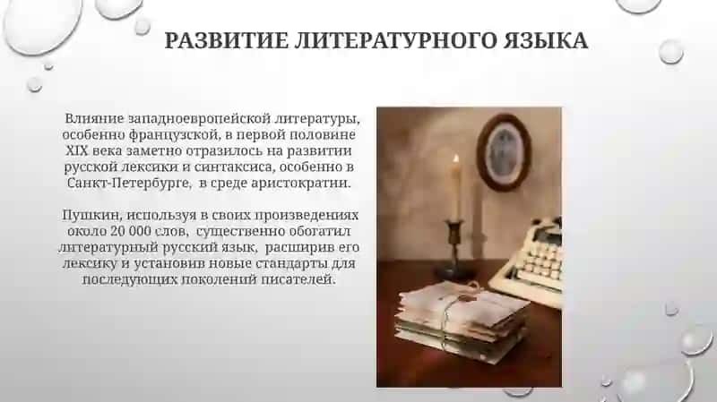 Русский язык XIX века 3