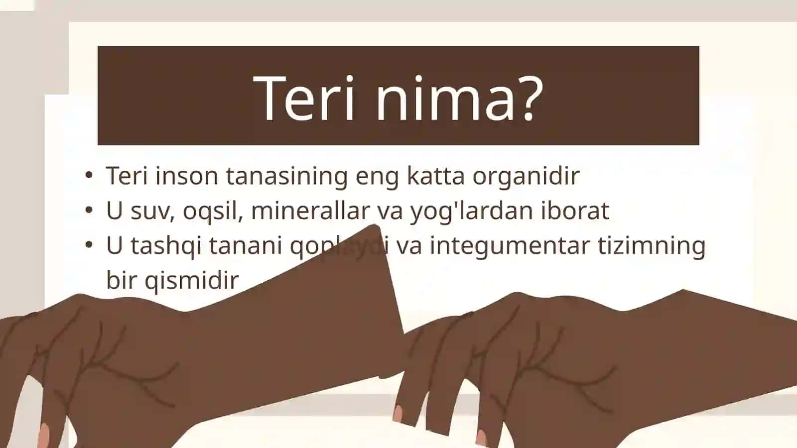 Teri fiziologiyasi 3