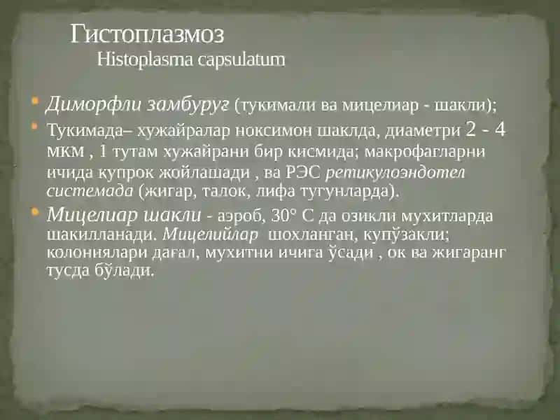 ОДАМЛАРДА ЧУКУР МИКОЗЛАР КУЗГАТУВЧИЛАРИ 3