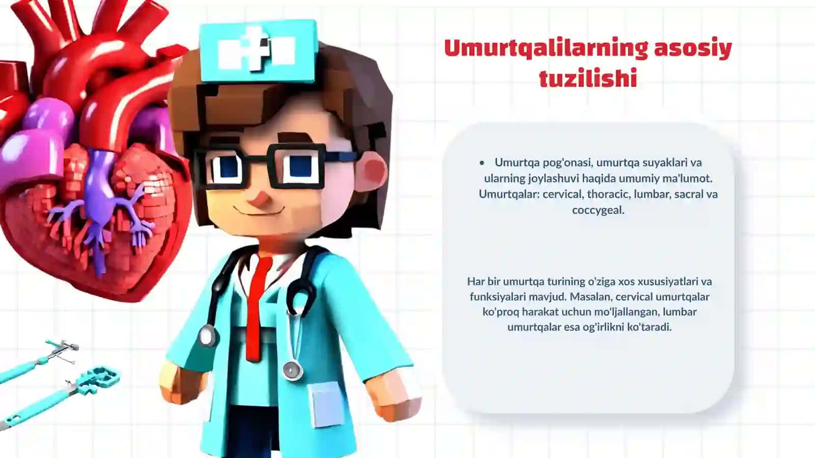 Umurtqalilarning tuzilishi 3