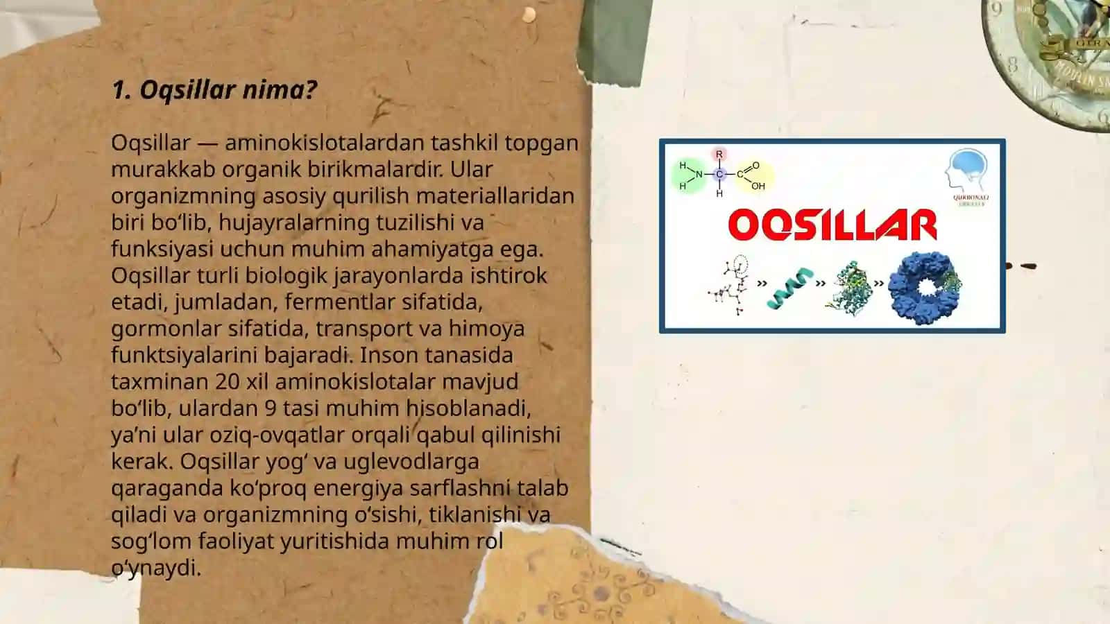 Oqsillarni tarkibi va tuzilishi 3