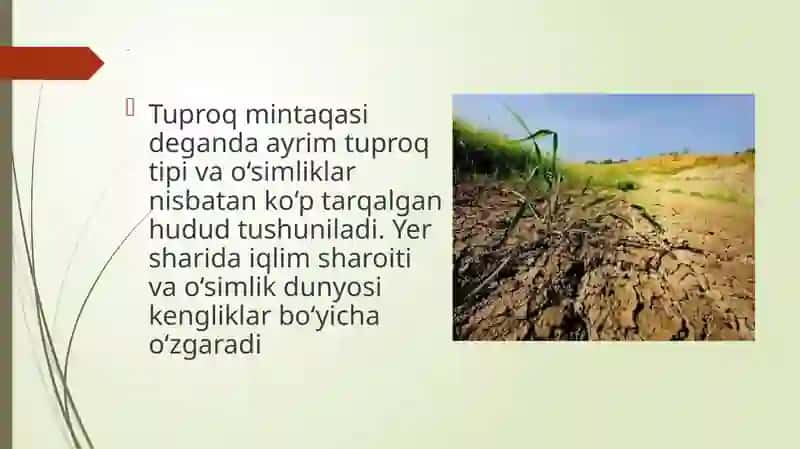 tuproqning tarqalish  qonuniyatlar 3
