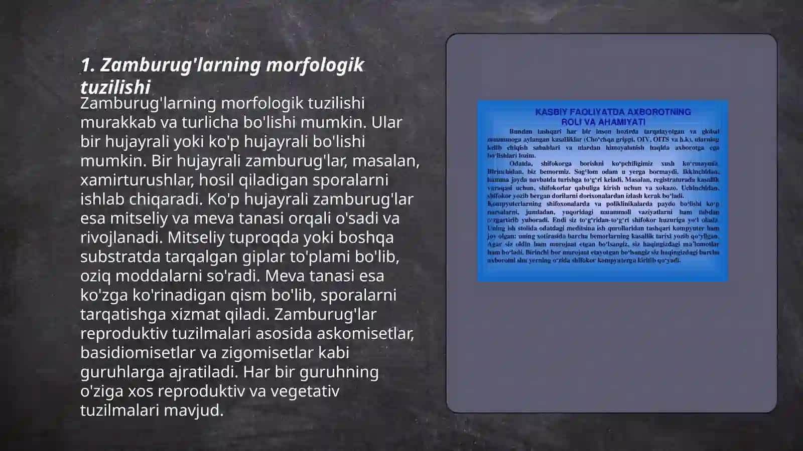 Zamburug'lar,sodda jonivorlar 3