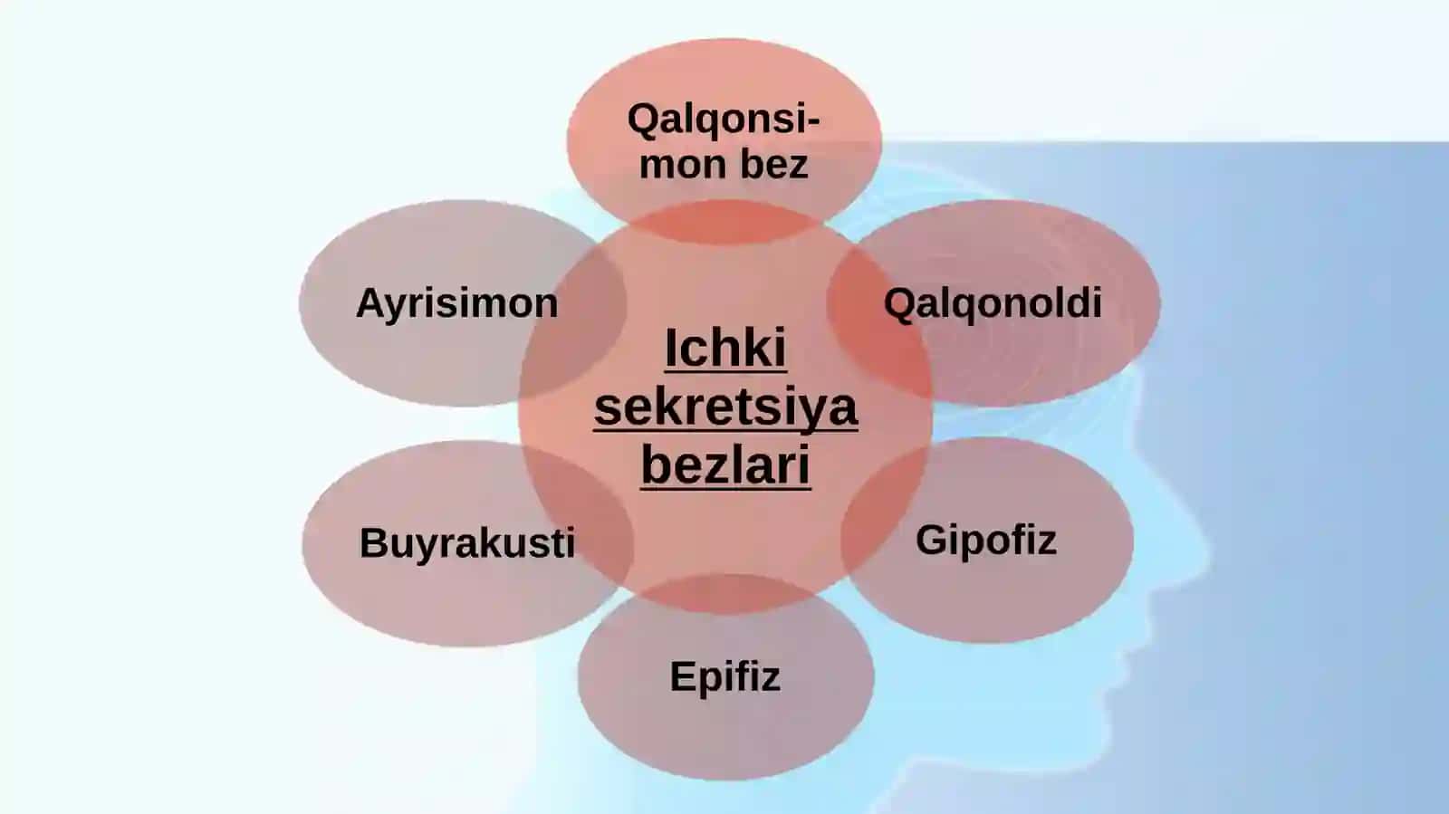 TASHQI SEKRETSIYA BEZLARI 3
