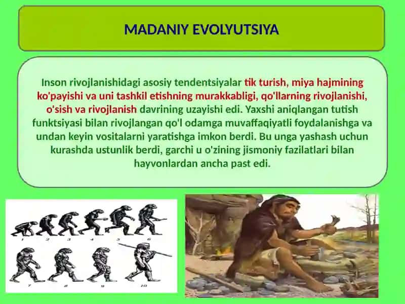 Madaniy evolyutsiya, madaniy meros, inson evolyutsiyasini hal qiluvchi omillar 3