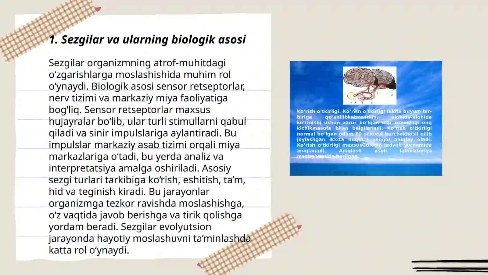 Sezgilar va ularning biologik asosi 3