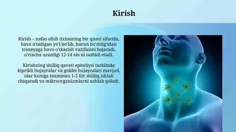 Xasim tizimining tuzilishi 3