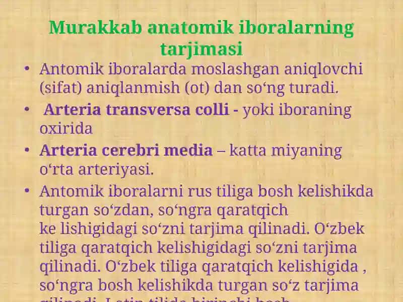 Murakkab anatomik iboralarning tarjimasi 3
