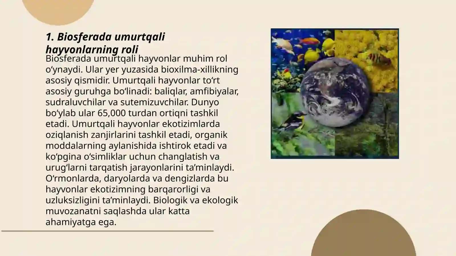 Biosferada xordali hayvonlarning tutgan oʻrni 3
